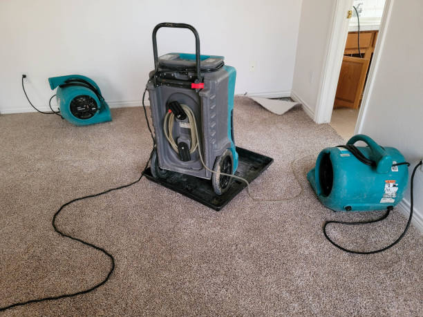 Best 24-hour water damage restoration  in Burnham, IL