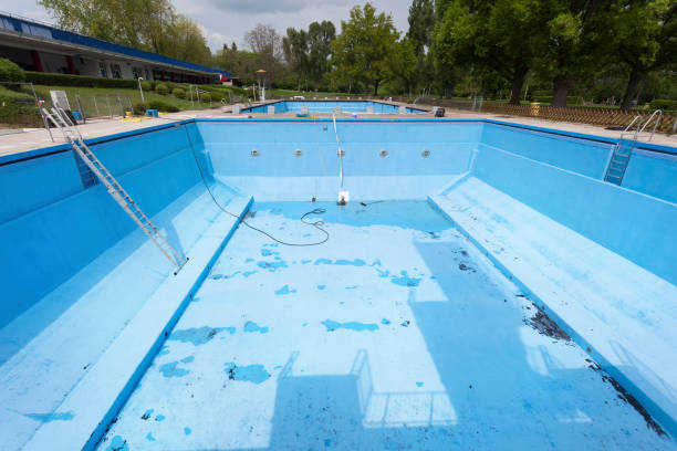 Best Water damage contractors near me  in Burnham, IL