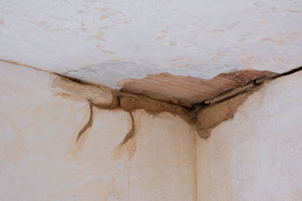 Best Professional water damage repair  in Burnham, IL