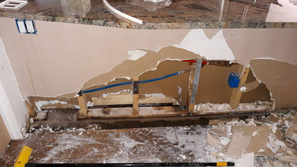 Best Fire Damage Restoration  in Burnham, IL