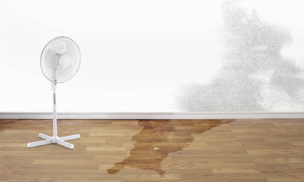 Best Water damage restoration cost  in Burnham, IL