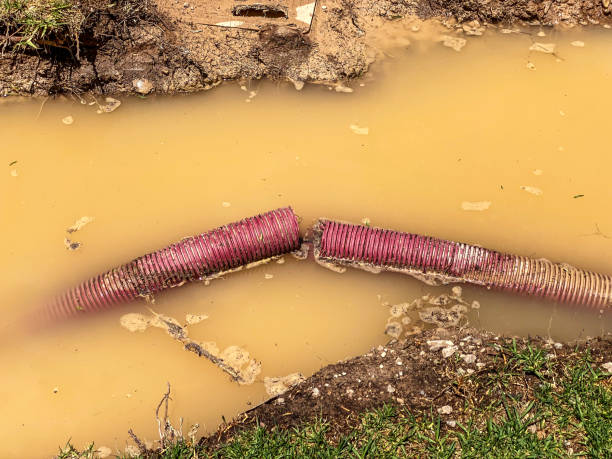 Best 24/7 water damage repair  in Burnham, IL
